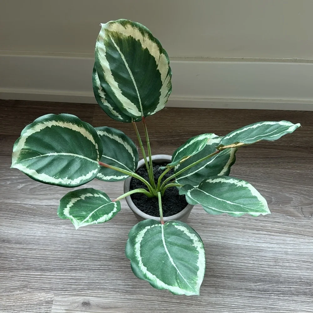 Hearth & Hand with Magnolia Faux Calathea Ceramic Potted Plant
